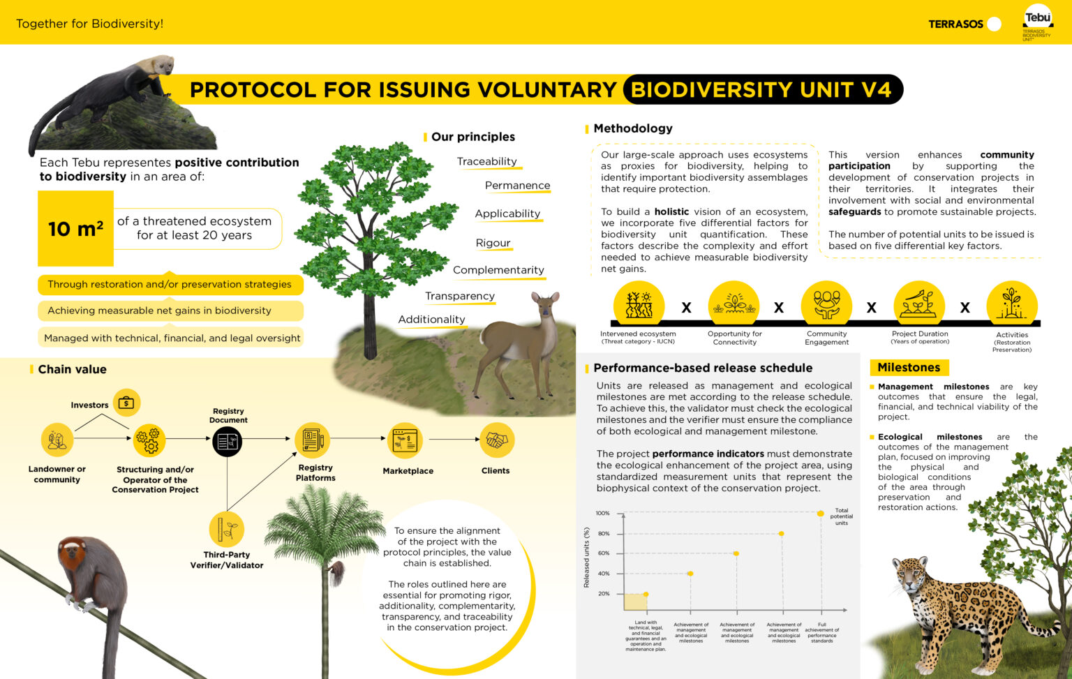 Terrasos presenta la actualización del Protocolo para la Emisión de Créditos de Biodiversidad.