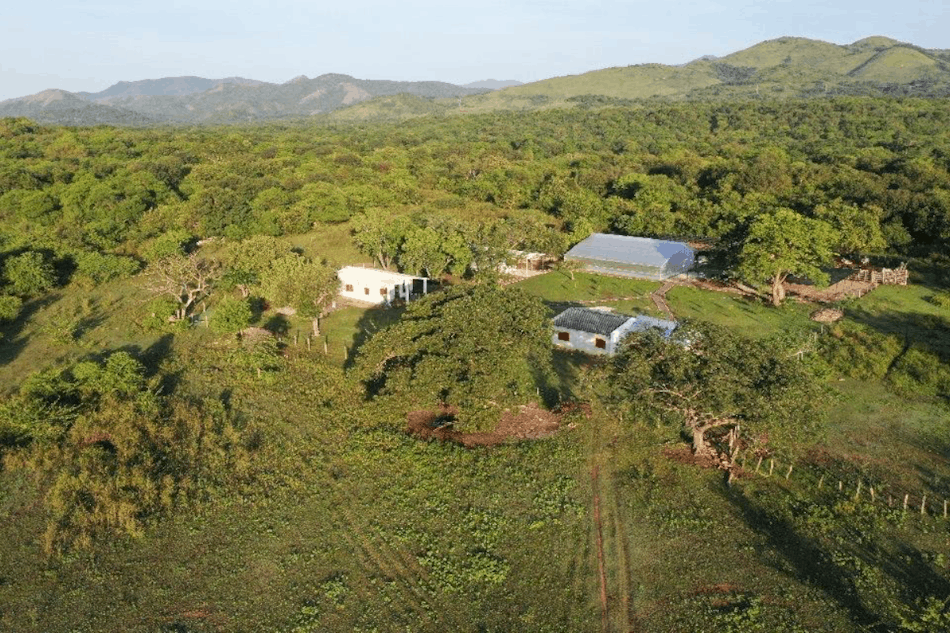 Banco de Hábitat y Reserva Natural Mata de Lata