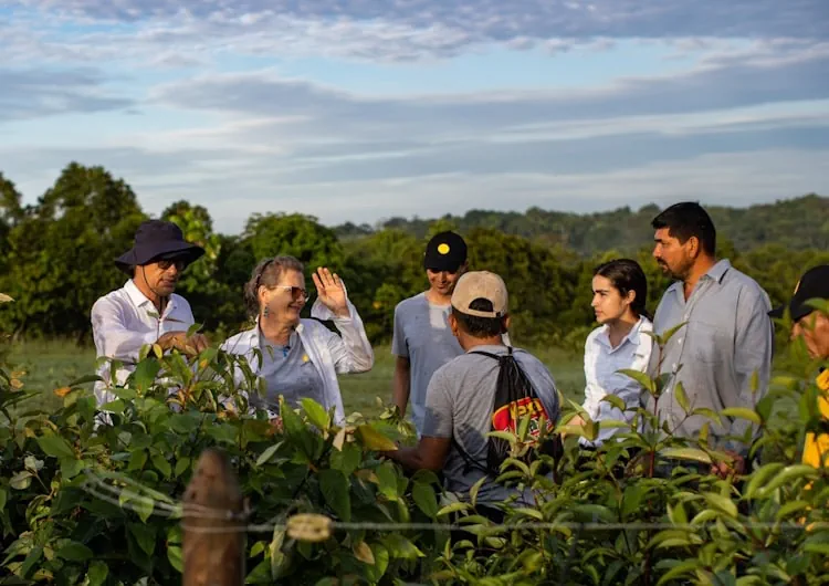 Compromiso y Trazabilidad Ambiental