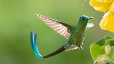 Impacto Biodiversidad