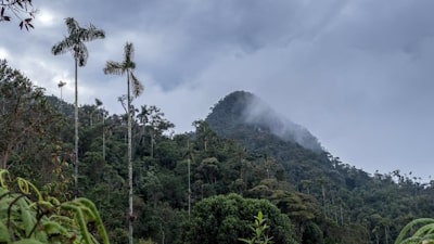 Impacto Clima