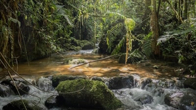 Impacto Ecosistema