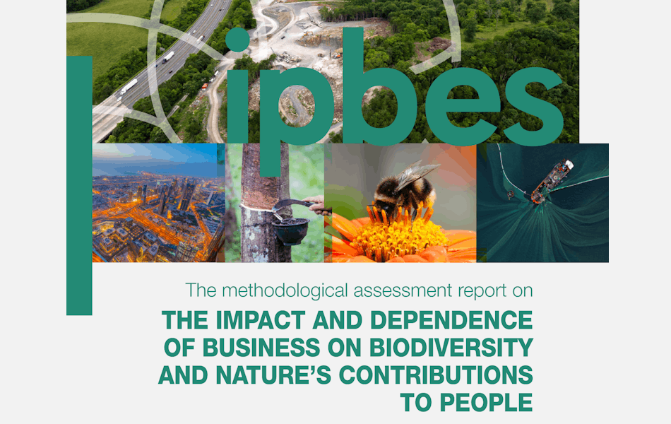 El Informe de IPBES sobre Empresas y Biodiversidad