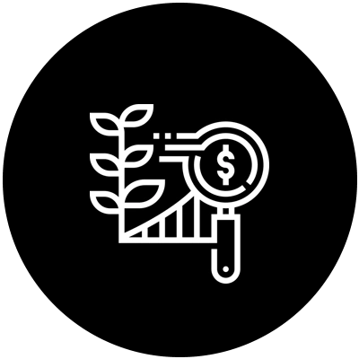 Explorar Portafolio de Servicios
