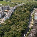 Política de Biodiversidad para un Futuro Sostenible