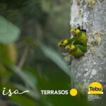 Créditos de Biodiversidad para Protección Especies