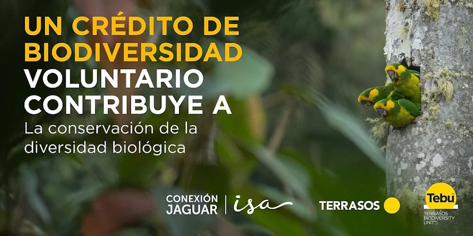 Créditos de Biodiversidad para Protección Especies