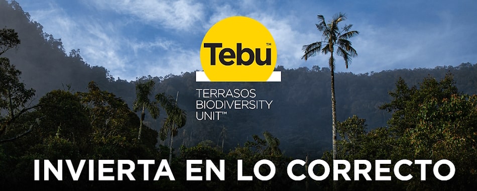 Tebu - La Inversión Correcta