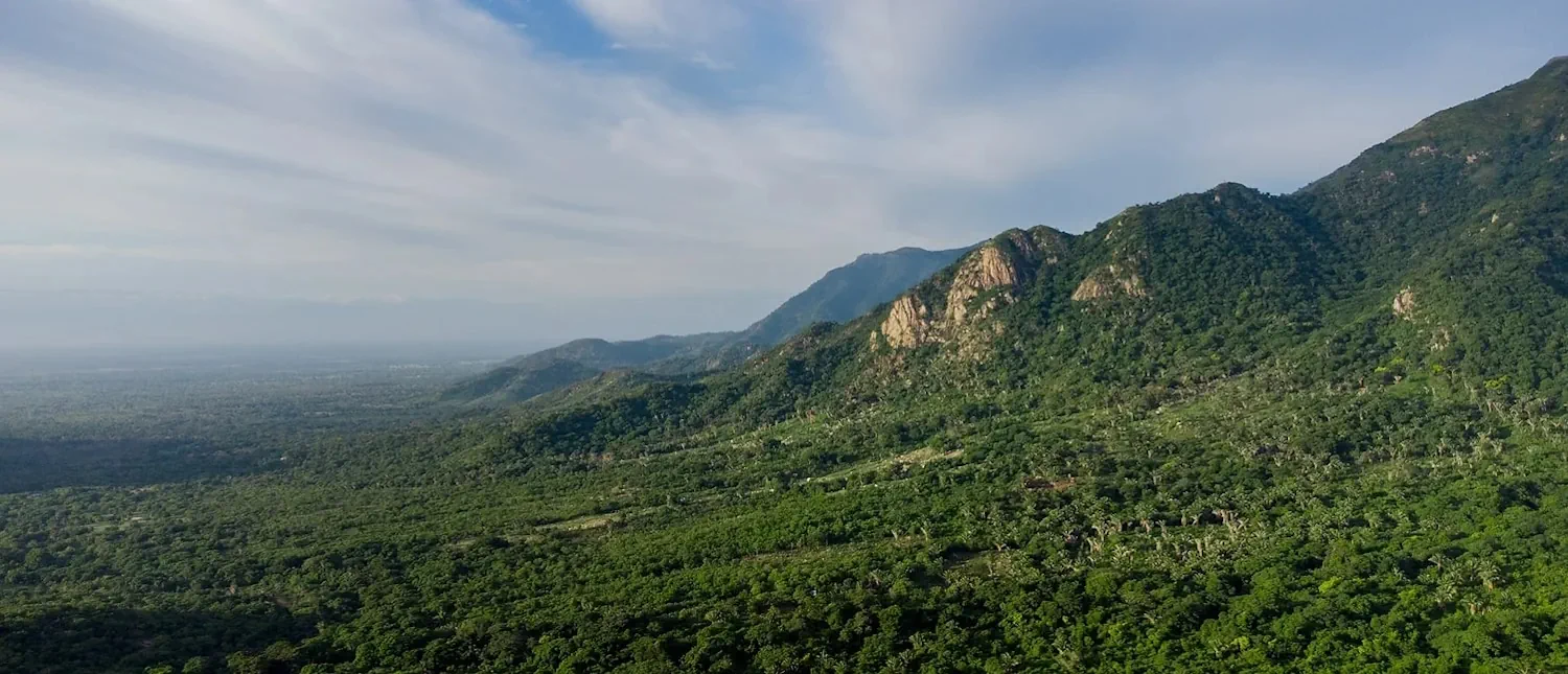 Terrasos - Biodiversidad