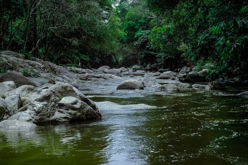 Riesgo Servicios Ecosistémicos