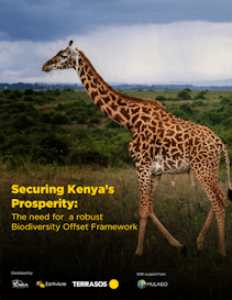 Securing Kenya's Prosperity: The need for a robust Biodiversity Offset Framework