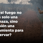 Si el fuego no fuera solo una amenaza, sino también una herramienta para conservar.