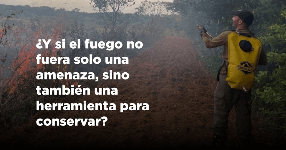 Si el fuego no fuera solo una amenaza, sino también una herramienta para conservar.