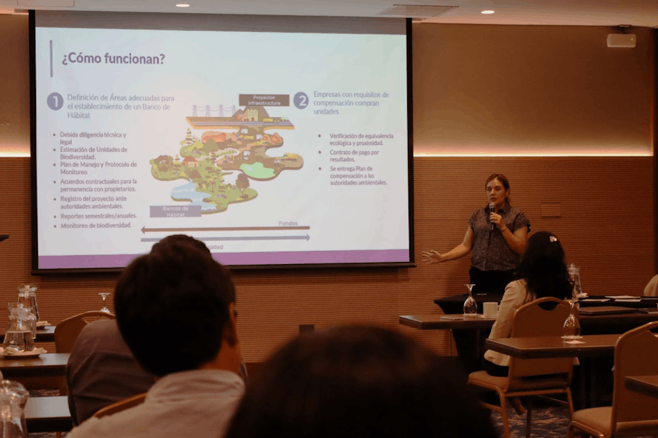 Vanessa García, Directora de Alianzas Estratégicas