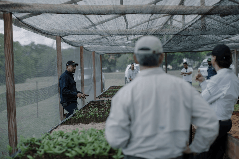Vivero del Banco de Hábitat del Meta